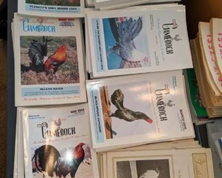Large Collection of Game Cock Magazines