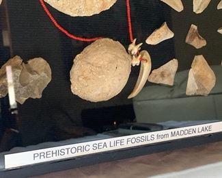 Prehistoric Sea Life Fossils from Madden Lake. (sold through bidding) 