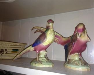 Colorful birds