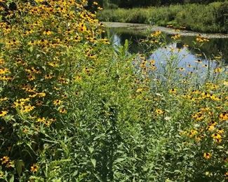 Great view.  This is at the edge of the property line.  We absolutely get the best homes in the best areas.