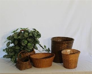 Plant w/basket and 4 more Baskets