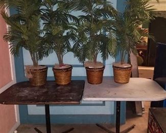 4 Fake Plants and 2 Tables