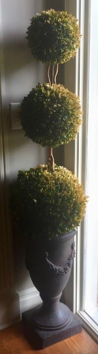 Topiary, two available