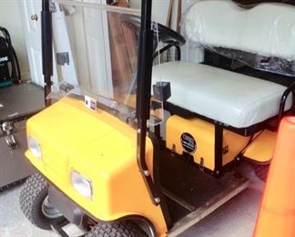 Cricket Resort Style Golf Cart