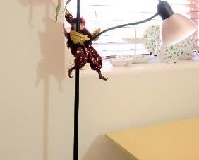 Great tall lamp for lighting an area and reading or sewing or office room.