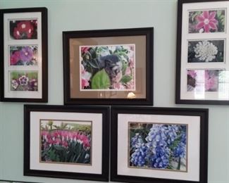 Framed Photos