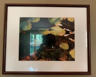 Photography, Signed O'Connor