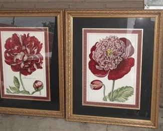 86. Pair Decorative Botanical Prints