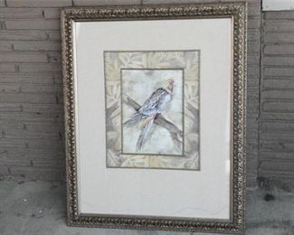 96. Exotic Bird Print wSilver Frame
