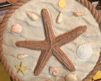 starfish frozen in time