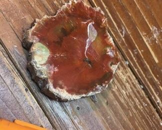 Petrified Wood