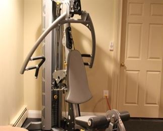 Horse Universal V1 gym