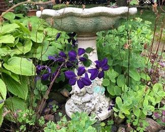 Birdbath
