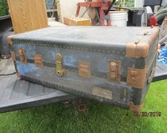 the outer trunk
