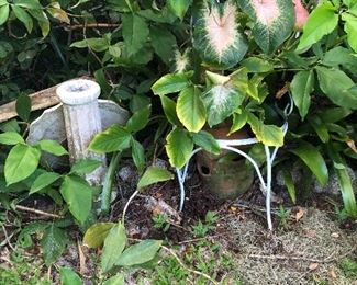 Bird bath