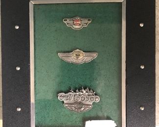 Framed collection of Harley Davidson pins