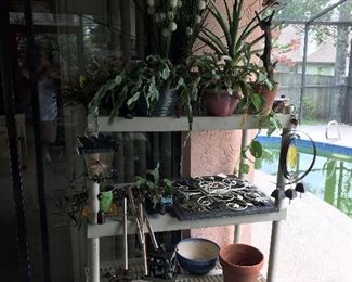 Outdoor décor/plants