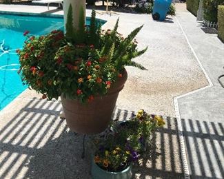 Plants