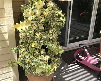 topiary