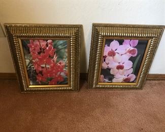 Gold framed flower pictures