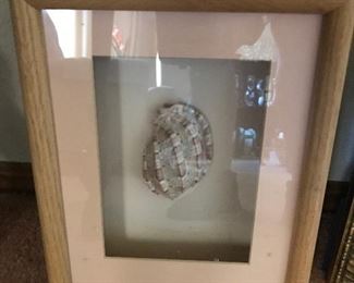 Shadow box-shell