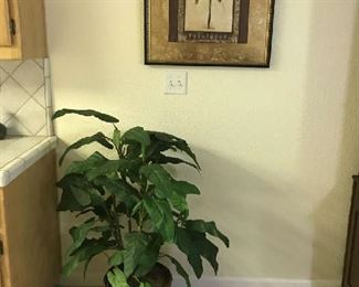 silk plant