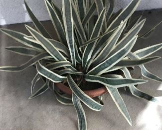 Artificial plant