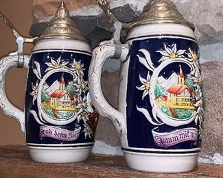 Beer Steins-covered