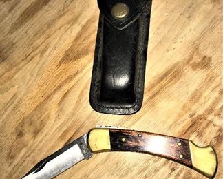 Buck model 110