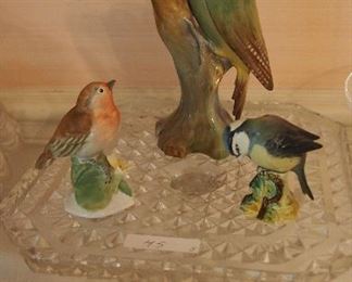 Signed Birds