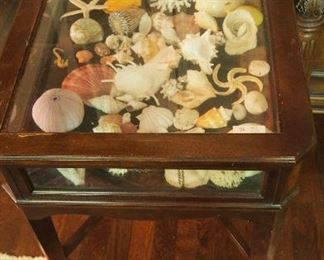 Shells and display cabinet (one of two)