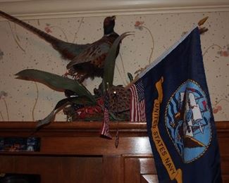 Taxidermy