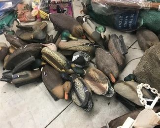 Too many duck decoys to count