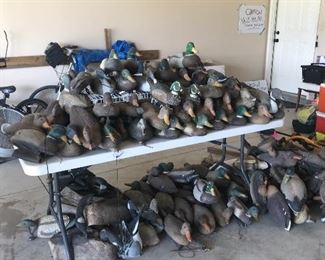 Anyone need  a duck decoy ? There are over 130. 