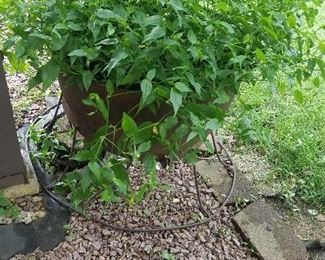 LARGE CAST IRON KETTLE WITH STAND AND PLANTS