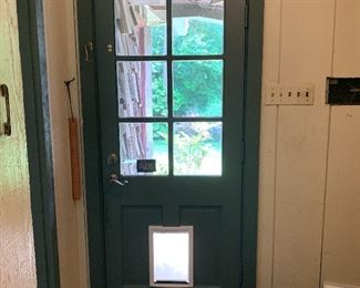 Exterior Door with Dog Door