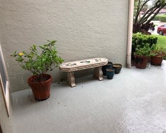 BENCH  POTTED PLANTS