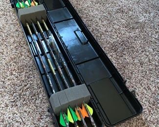 Case with Eleven Arrows