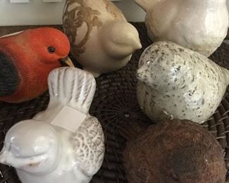 Birds