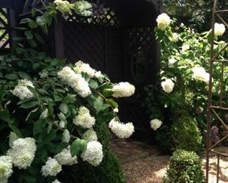 Gorgeous gardens will lead you to sheer delight!