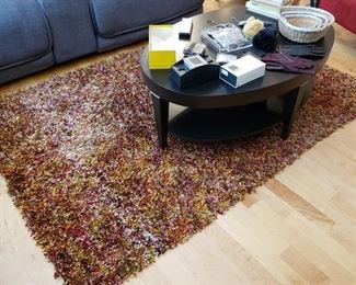 Contemporary Shag Area Rug, and Coffee Table