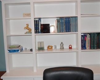 Kidney Doctor Books- pathology, medical books