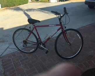 Man's  multi-speed Schwinn bicycle, candy-apple red.
