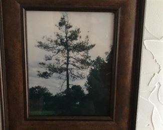Framed photo