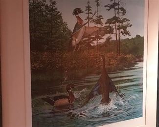 Signed Ray Harm Wood duck prints