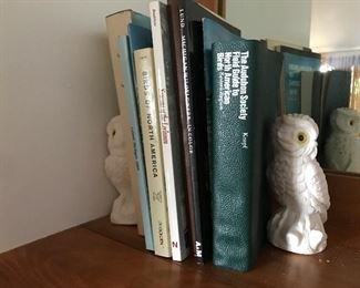 Pair of alabaster owls from Italy