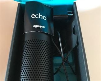 New Echo in box