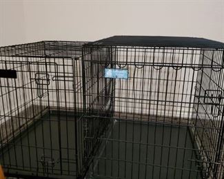 Dog Prisons