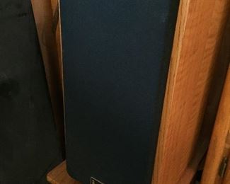 Infinity speaker pair