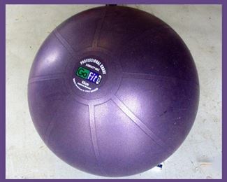 Go Fit Exercise Ball